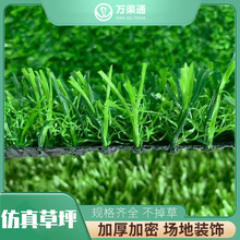 低价批发塑料草坪卷 绿色人造草坪 户外操场草坪地毯