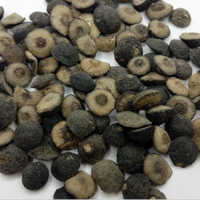 鹅眼枳实 浙江中药材野生野生特级枳实无硫 正品枳实一公斤包邮