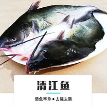 开背清江鱼鲜活冷冻烤鱼半成品纸包江团调味腌制鮰鱼整箱商用食材