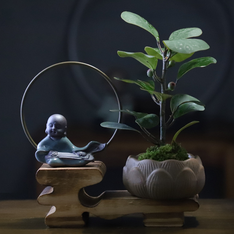 菩提树室内盆栽禅意茶桌客厅办公室观叶果子盆景迷你净化空气绿植