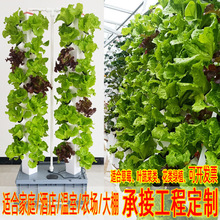 立体柱栽培盆栽圆柱一体立柱种菜设备水雾家庭蔬菜种植水培架水耕