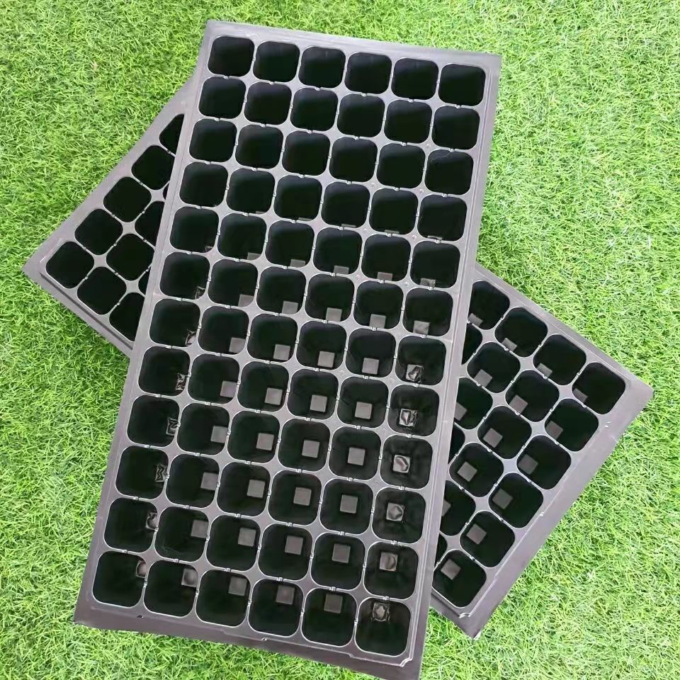 蛋白虫化蛹盘孔大麦虫化蛹盒面包虫无孔化蛹盘化蛹盒孔化蛹盘