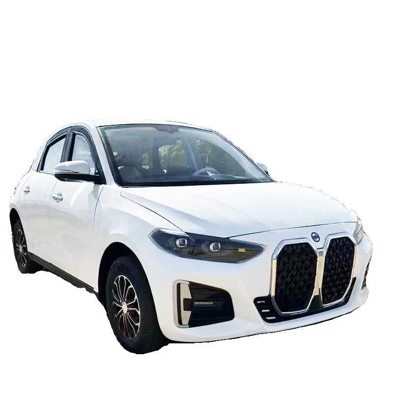 新款成年人代步车x9四轮电动车家用新能源低速油电两用汽车老头乐