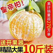 精品广西武鸣柑新鲜水果当季柑橘薄皮橘子桔子休闲食品厂一件批发