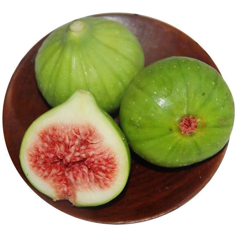 威海青皮无花果新鲜水果现摘绿皮无花果一件代发