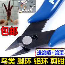 剪环钳用具足环工具鸽子种鸽肿大剪钳子赛鸽脚环剪刀信鸽用品鸽具