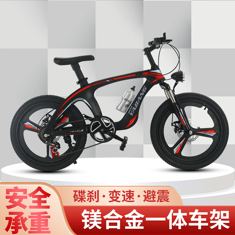 Bicycle Magnesium Alloy Mountain Bike 2022-Inch Thickened plus-Sized Seat Double Disc Brake Shock-Absorbing Children's Mountain Bike