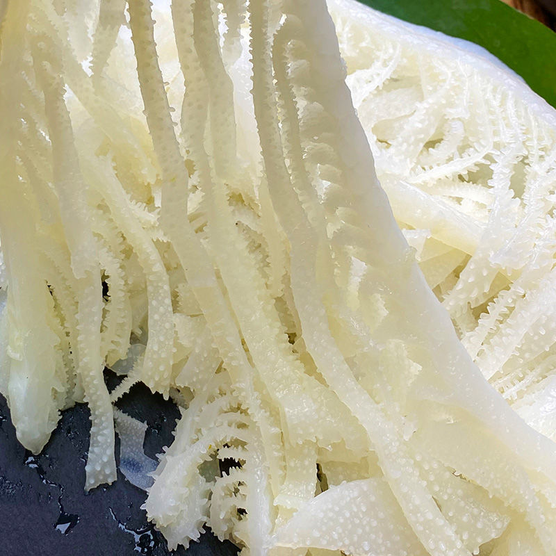 毛肚牛肚牛百叶新鲜冷冻白毛肚丝片火锅食材袋装白千层肚四川重庆