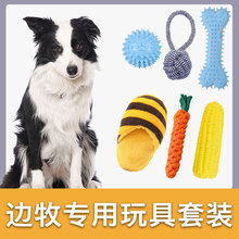 边牧犬专用玩具套装耐咬发声宠物狗磨牙玩具小型犬解闷幼犬用品