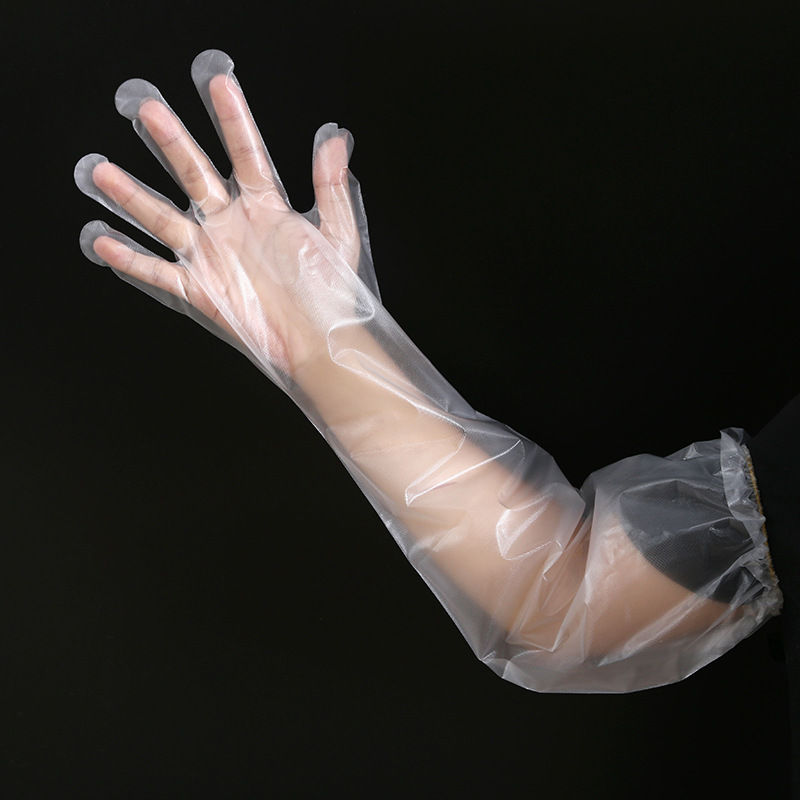 cpe一次性护臂长手套长60cm塑料透明餐饮家居日用塑料可用手套