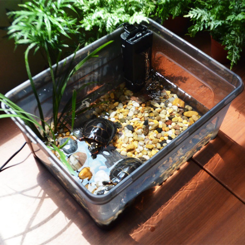 【小鳄龟缸】-小鳄龟缸厂家,品牌,图片,热帖-阿里巴巴