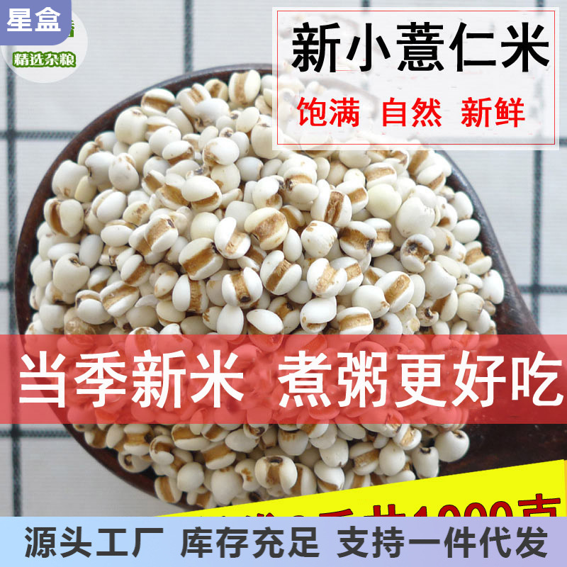 新小薏米当季贵州新意仁米农家兴仁小薏以仁米苡仁米煮粥1000g