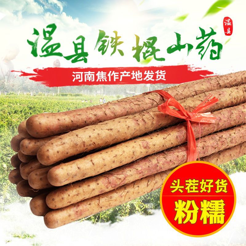河南温县铁棍怀山药铁杆长山约棒蔬菜焦作新鲜淮山粉糯 蔬菜-阿里巴巴