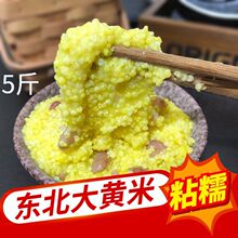 山西岚县特产大黄米软米糯小米农家新粽米稠饭米粘豆包糕米黍子米