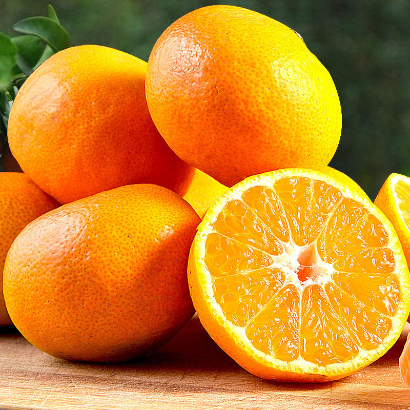 临海涌泉蜜桔浙江台州黄岩早熟宫川蜜橘当季新鲜水果无籽柑甜多汁