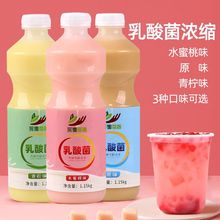 采集茶香2.3斤乳酸菌含乳饮料酸奶风味优格益菌多饮品奶茶店原料