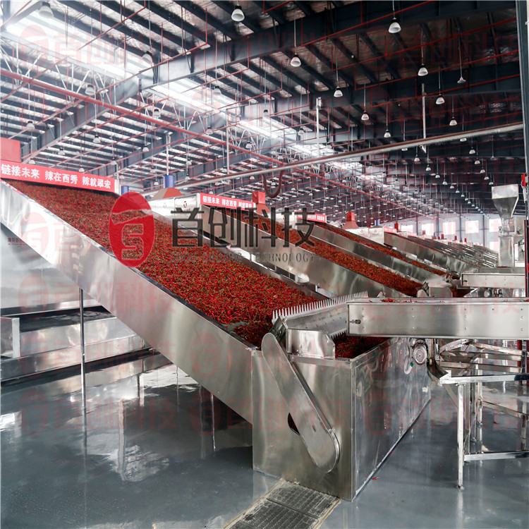 2020 辣椒烘干机 辣椒干燥设备 网带辣椒烘干机