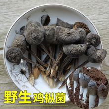 野生鸡枞菌干货云南特产山珍新鲜干深山黑皮鸡枞菌香跨境跨境代发