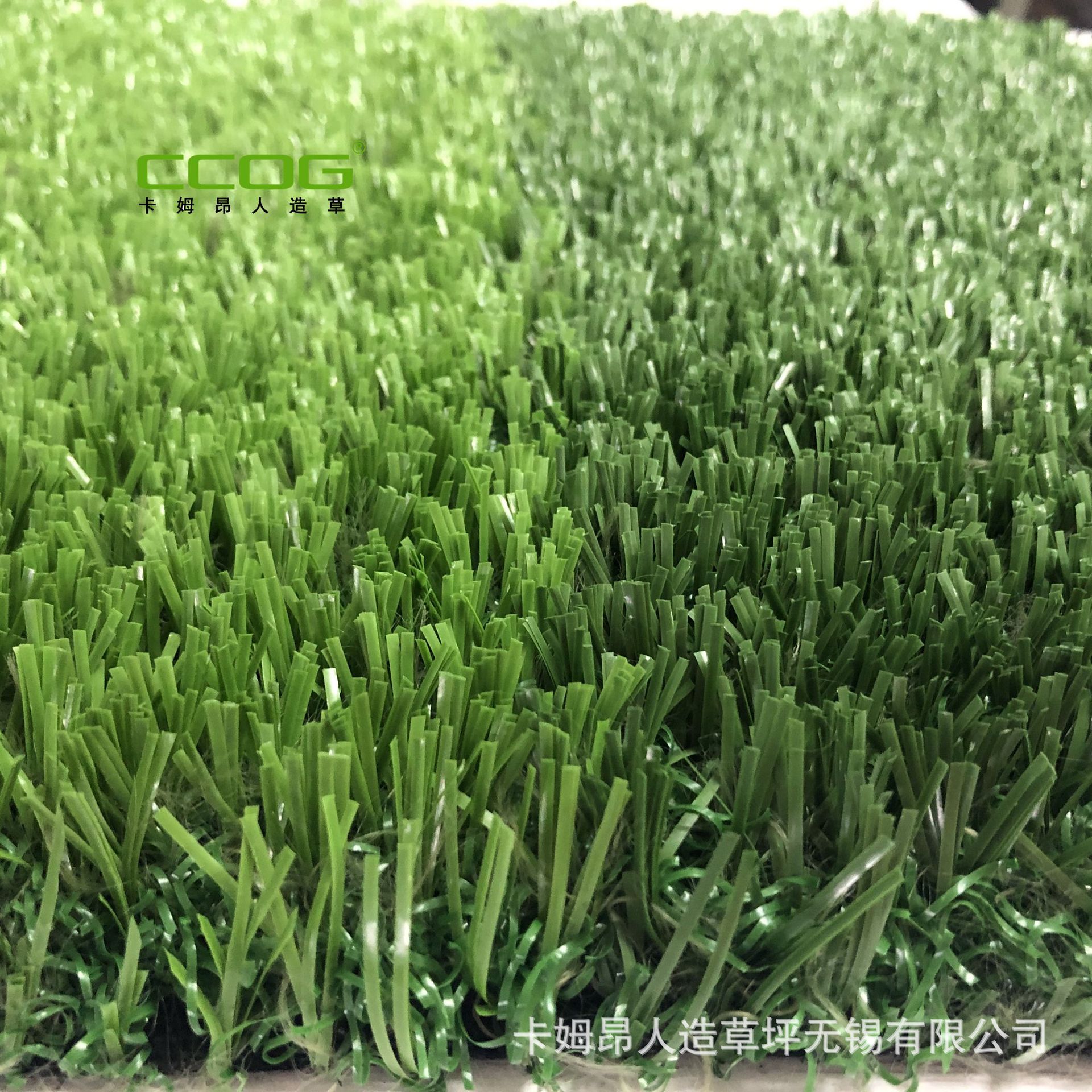 进口荷兰赛尔隆草坪 30mm免填充足球草人造草坪 直曲运动场地草皮