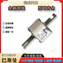 巴斯曼170M4217 170M4218 170M4219  快速熔断器品牌直销质量可靠