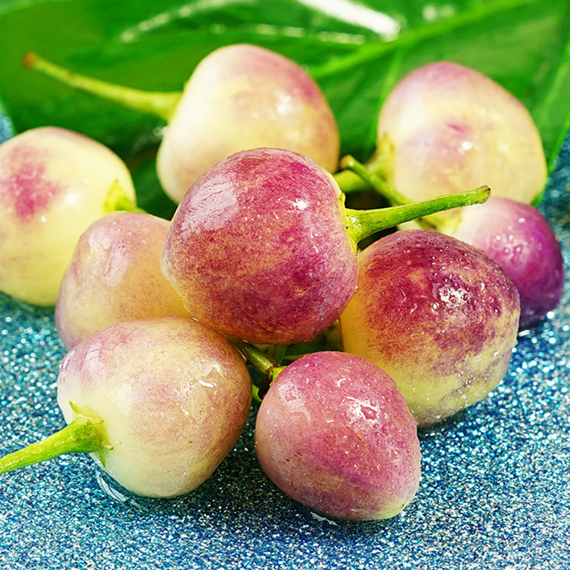 广西七彩椒新鲜辣椒9斤蔬菜辣椒五彩椒新苗灯笼椒整箱包邮5