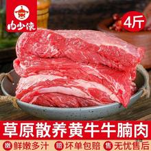 牛腩新鲜牛肉4斤产黄牛肉雪花鲜切牛腩块家用生鲜冷冻