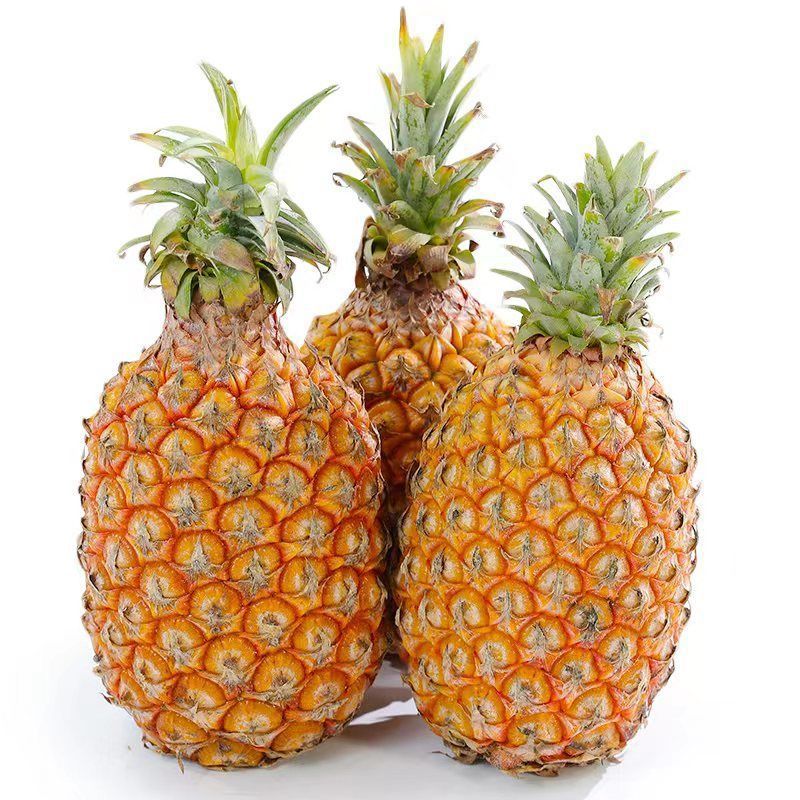 海南金钻凤梨17号新鲜水果当季手撕菠萝菠萝超甜1斤9斤-阿里巴巴