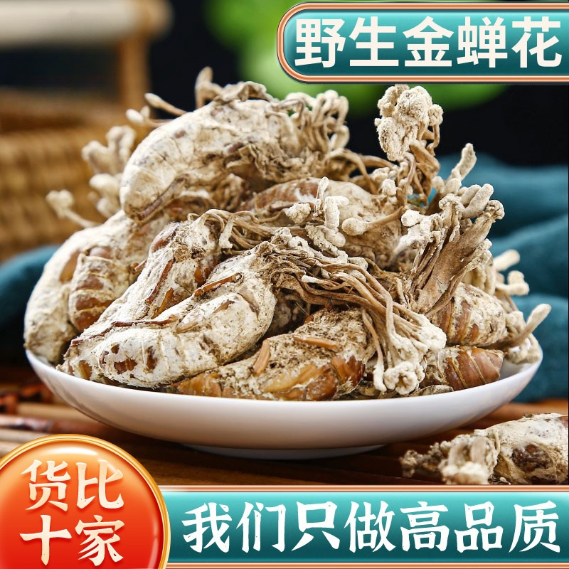 年野生金蝉花100克g材婵花蝉花虫草孢子粉知了花包邮-阿里巴巴