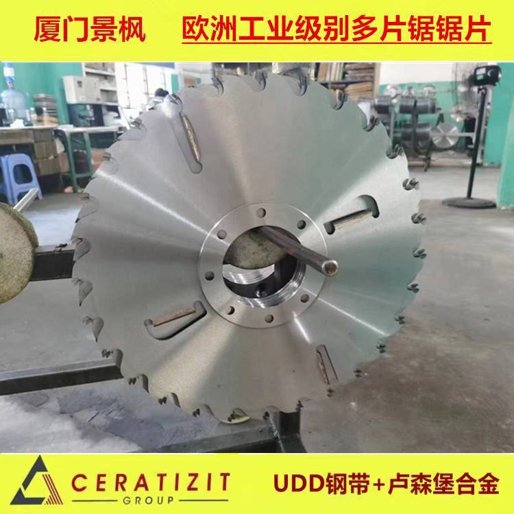 景枫出口加蓬缅甸大型得力多片锯锯片带刮刀原木方木500-65-700-2