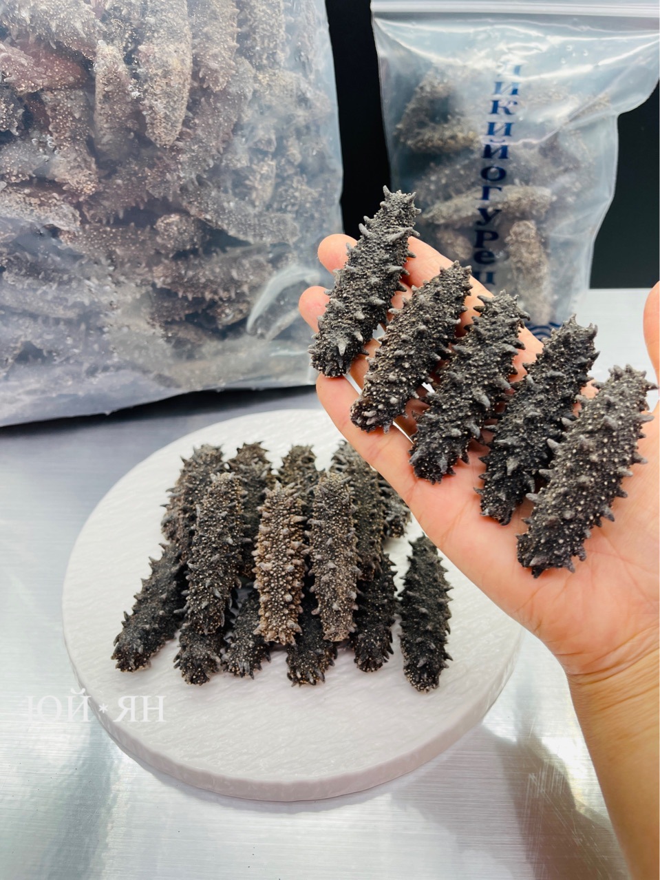 俄罗斯海参 北方四岛萨哈林大红参19头 9个干 顺丰包邮-阿里巴巴