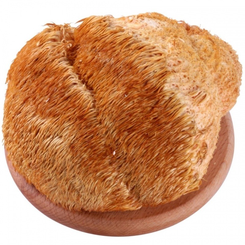 新货东北猴头菇土特产猴头煲汤无硫干货猴头菌