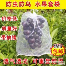 葡萄套袋水果套袋防虫防鸟网袋瓜果蔬菜防虫袋塑料白色网袋浸种袋