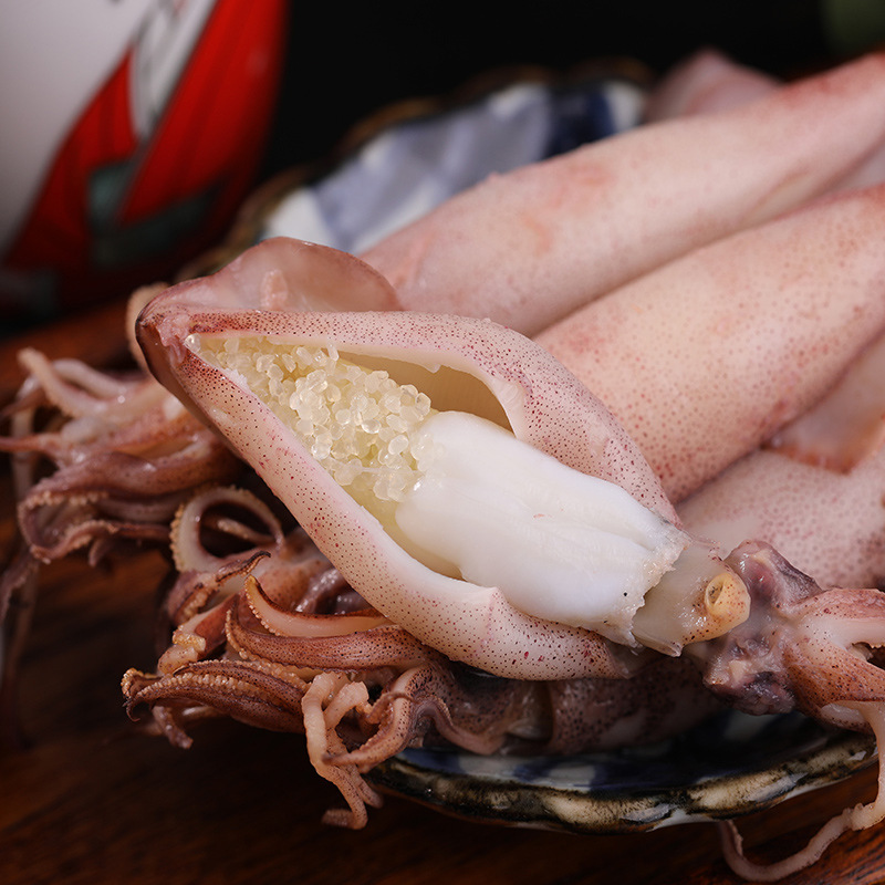 海兔子满籽墨鱼仔新鲜海兔鲜活带籽笔管鱼大乌贼籽乌鱿鱼海鲜水