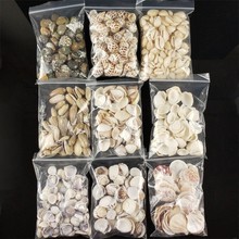 DIY材料天然小海螺贝壳 100克1袋 微景观批发鱼缸造景地中海摆件