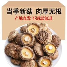 香菇干货无干燥剂托盘散装家用大小可选新鲜西峡特产干小冬菇蘑菇