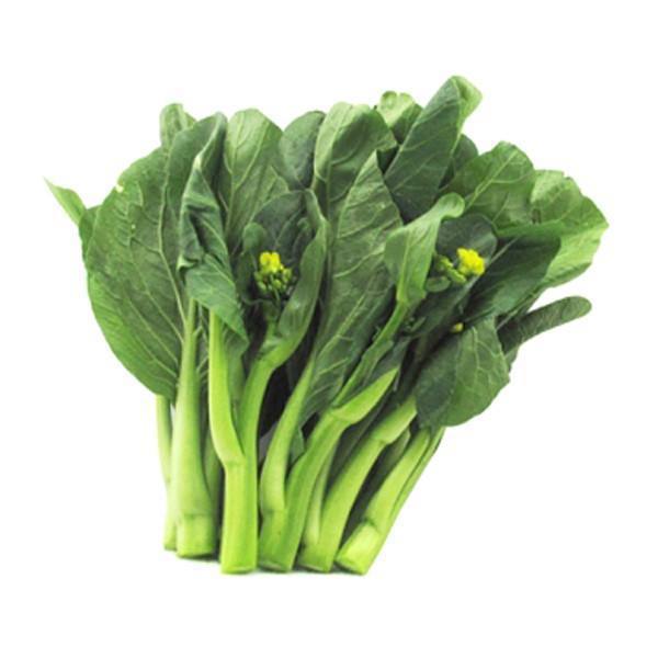 宁夏菜心新鲜蔬菜正宗供港蔬菜小菜心菜苔酒店清甜爽口1-3斤