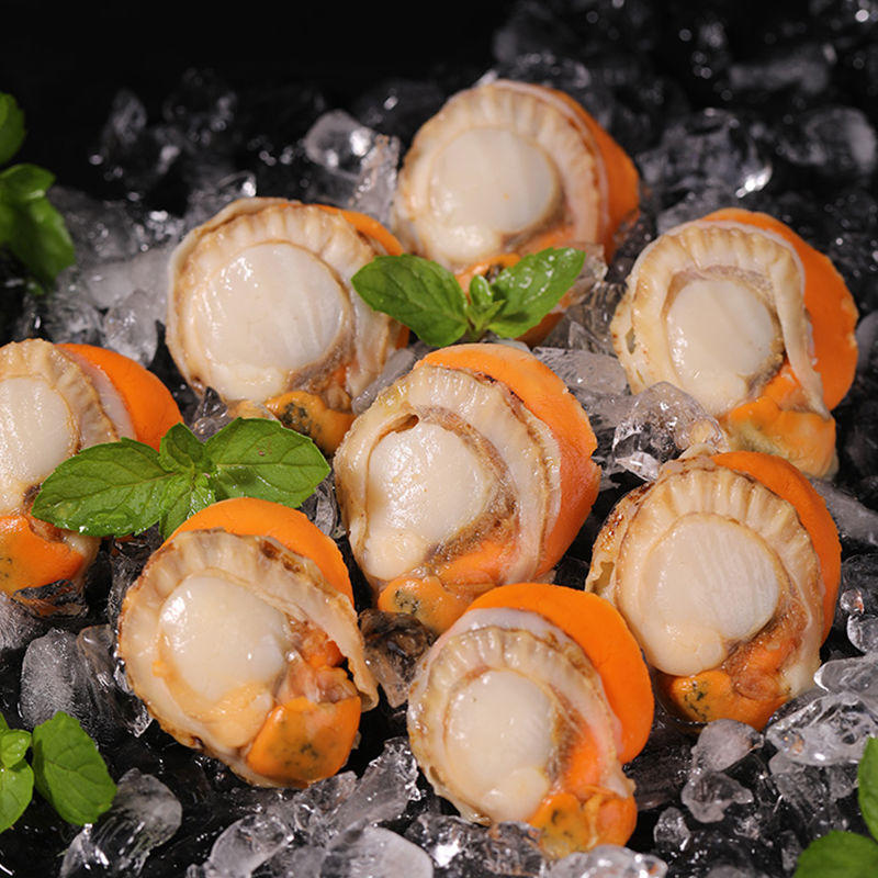 扇贝肉批发顺丰特大号新鲜冷冻贝类海鲜瑶柱海鲜水产亚马逊速卖通
