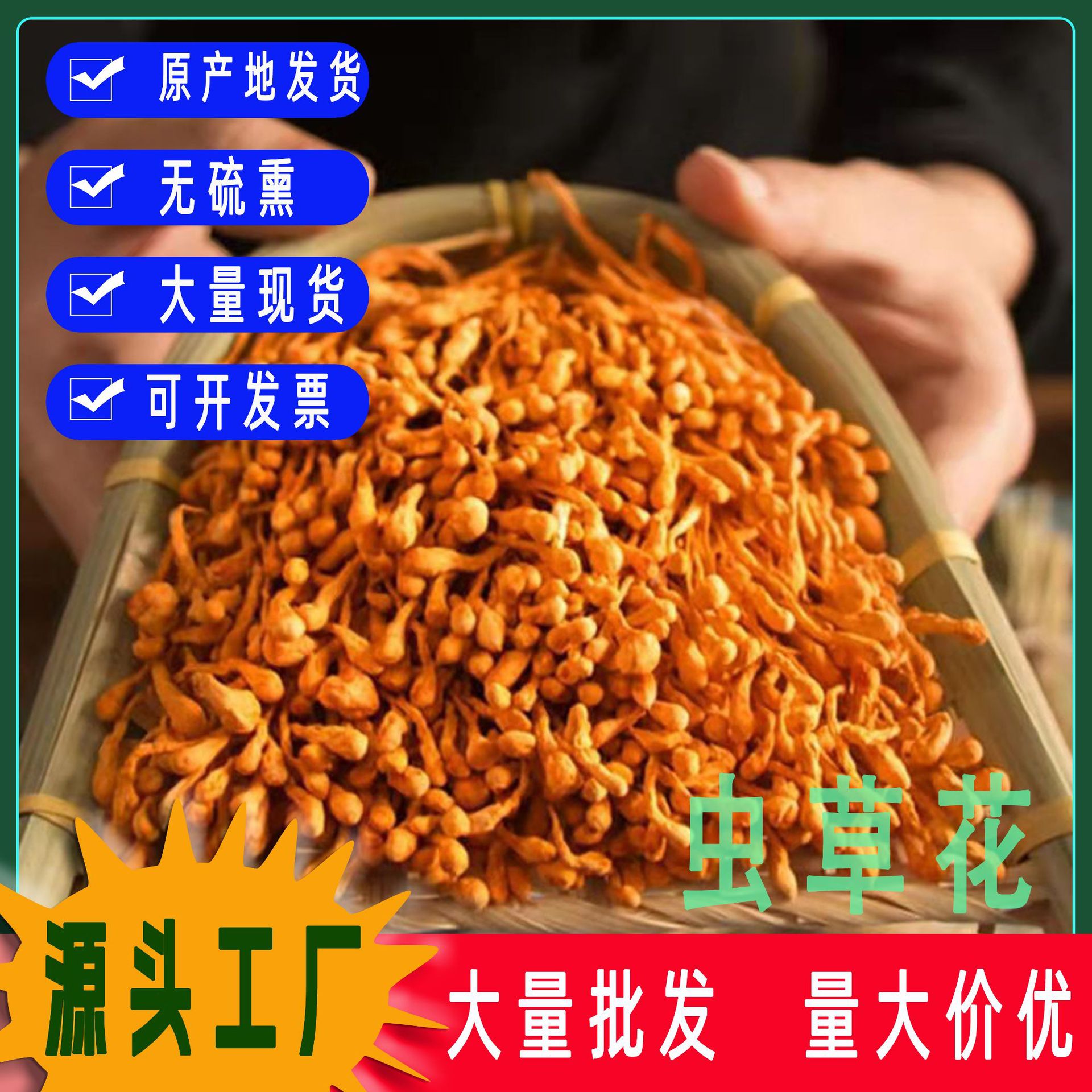 当季虫草花干货秋木精选新鲜北金蛹虫草孢子头煲汤批发