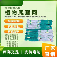 黄瓜苦瓜丝瓜吊瓜豆角百香果山药网植物爬藤网攀爬种植农用网