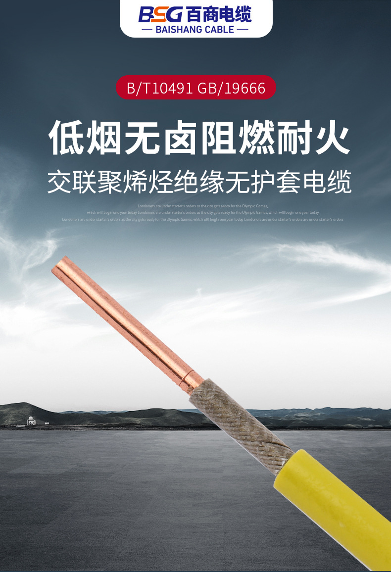 低烟无卤阻燃耐火交联聚烯烃绝缘无护套电线铜芯家用 wdzan-byj