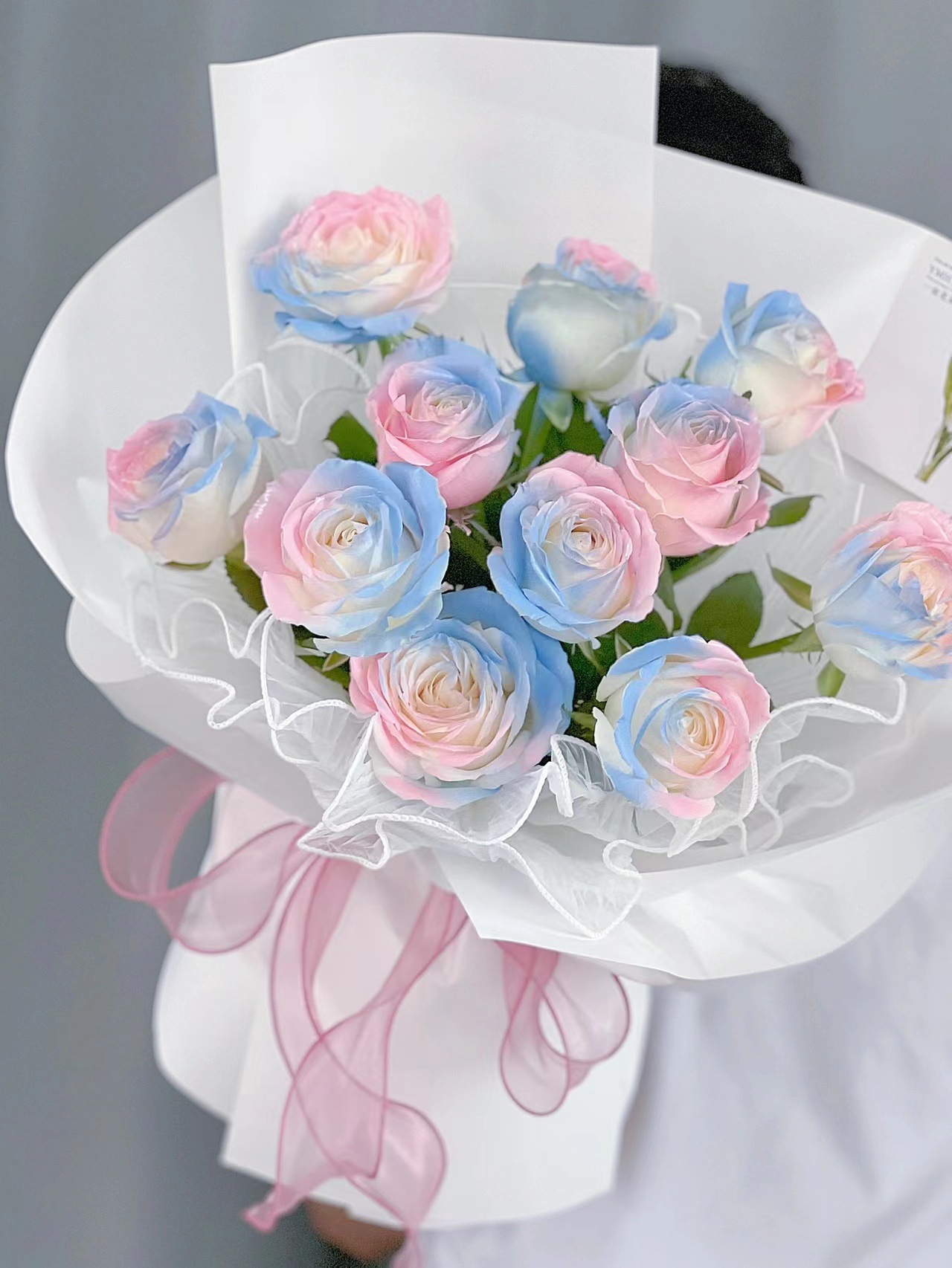 人鱼姬鲜花网红粉蓝玫瑰花真花云南昆明直发玫瑰鲜花批发七夕礼物