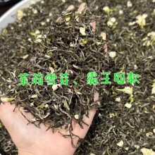 新茶上市茉莉雪芽霸王同款 自有工厂加工 品质稳定货源稳定