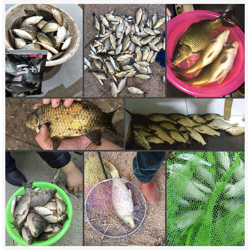 Wild Fishing Carp 918 Speed Attack Special Bait Old · Ghost Old Three-Type Snail Carp No. 2 No. 3 Bait in Stock Wholesale