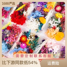 干花永生花满天星混合DIY材料包手工制作压花材料团扇相框制作