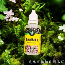 滴露款多肉爆根王壮苗剂多肉植物养花水肥营养液带滴头快速生根液