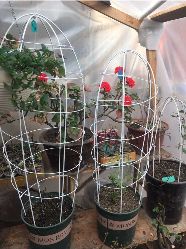 实心包塑铁丝园艺铁线花杆爬藤植物造型支架专业造型花架铁杆