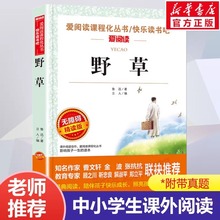 野草鲁迅著六年级必读书课本作家现代散文集小学语文同步阅读书