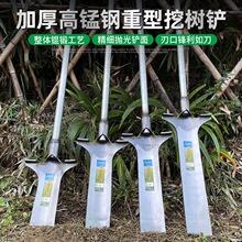 户外沟铁锹锰钢起苗根挖树工具洛阳农用铲子土坑挖打洞铲