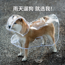 宠物雨衣透明披风中大型犬金毛比熊外出防水雨披雨天外出狗狗衣服