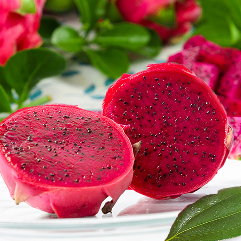 金都一号红心火龙果红心广西火龙果新鲜水果非越南红心火龙果批发